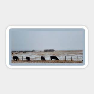 Cows in the Mist 2 Sticker